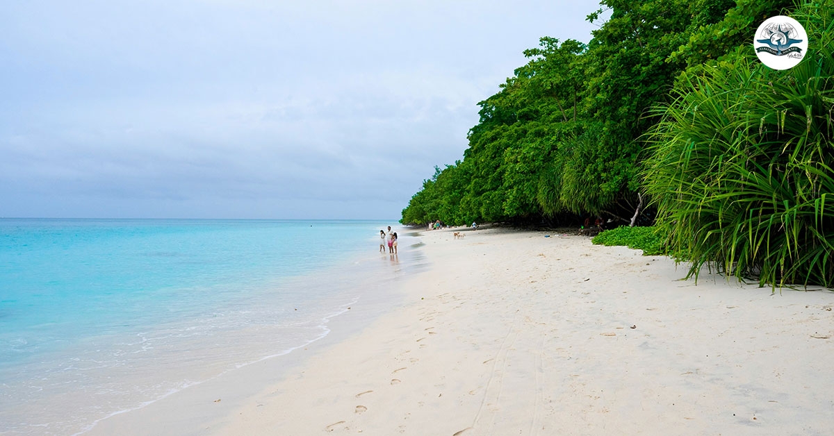 Island Hopping in Andaman - A Perfect 6-Day Travel Itinerary