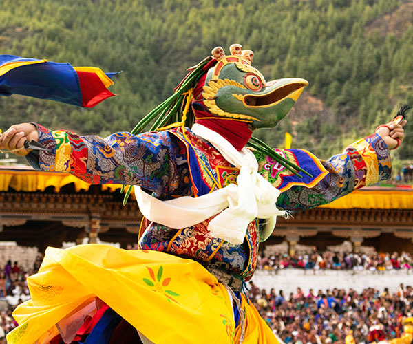 Festival Tour Packages