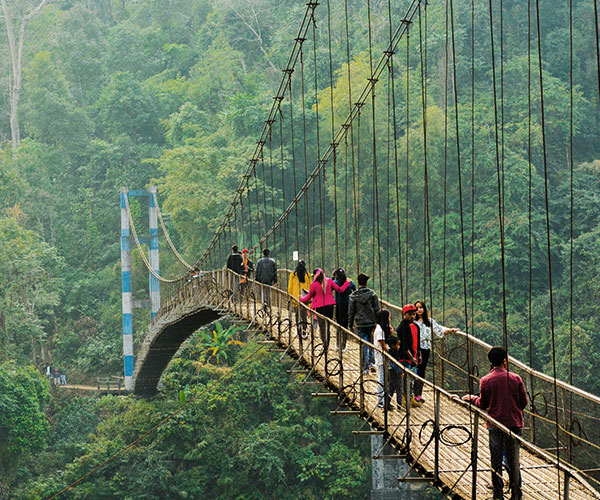 Family Tour Packages